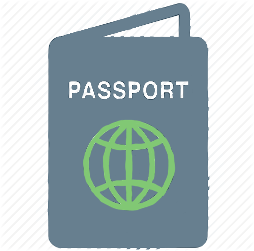 Паспортна система